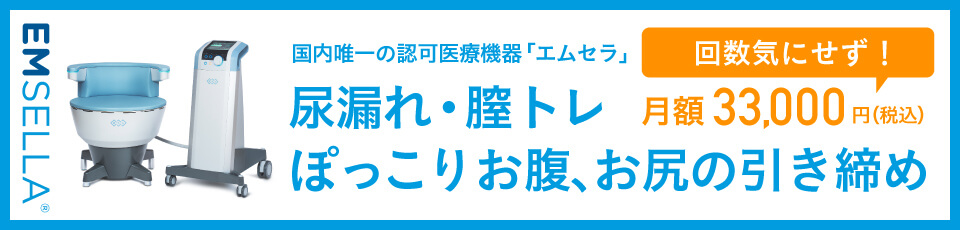 エムセラサブスク